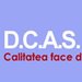 DCAS Service - Instalari si reparatii interfoane